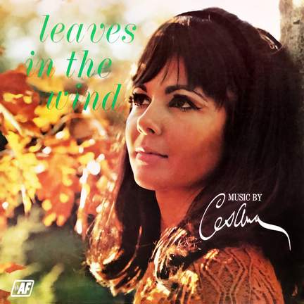 Leaves in the Wind