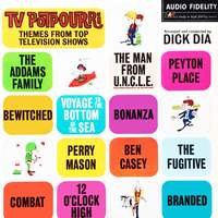 Tv Potpourri - Themes from Top Television Shows