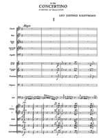 Kauffmann, Leo Justinus: Concertino für Kontrabass und Kammerorchester Product Image