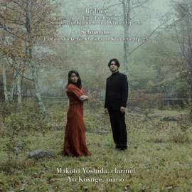 Brahms: Clarinet Sonatas & Schumann: Fantasiestucke, Op. 73