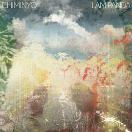 I Am Panda (lp)
