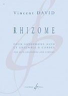 Vincent David: Rhizome