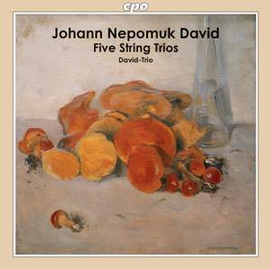 Johann Nepomuk David: Five String Trios