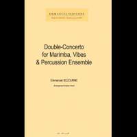 Emmanuel Sejourne_Andrea Venet: Double Concerto