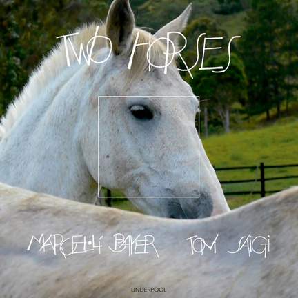 Two Horses