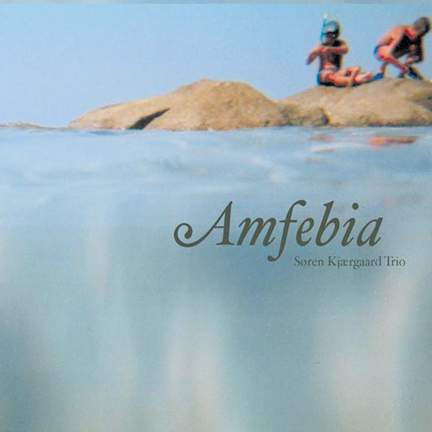 Amfebia