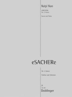 Kao, K: eSachere