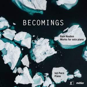 Sam Hayden: Becomings