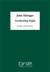 John Stringer: Awakening Night