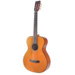 Valencia Guitar Crossover Nylon String 4/4  VC434VNA Product Image