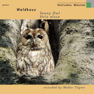 Natural Sound: Waldkauz