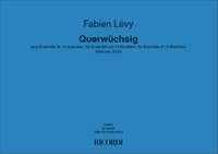 Fabien Lévy: Querwüchsig pour Ensemble de 13 musiciens