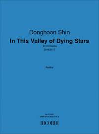 Donghoon Shin: In This Valley of Dying Stars