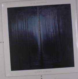 Night Forest
