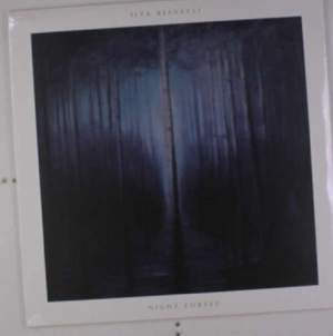 Night Forest