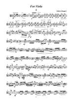Anders Koppel: For Viola Product Image