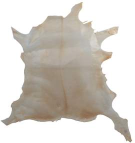 GEWA Pergament Goat, transparent