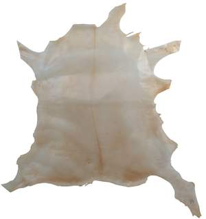 GEWA Pergament Calf, transparent