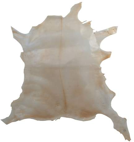 GEWA Pergament Calf, transparent