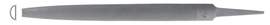F.Dick Rasp Half round Cut 5