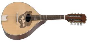 GEWA Flat mandolin Pro Arte  Model 2 High gloss
