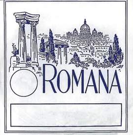 Romana Violin strings D Aluminium wound