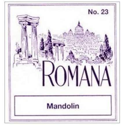 Romana Strings for mandolin D