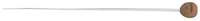 Pick Boy Conductor's Baton: Fibreglass Shaft 340mm with Cork Grip Model B