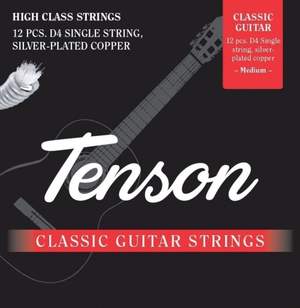 PURE GEWA Strings for classic guitar Tenson Nylon D Normal tension