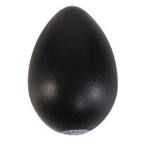Latin Percussion RHYTHMIX Egg Shaker Bubblegum