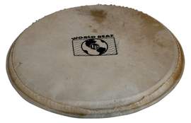 Latin Percussion Percussion head Plenera 10"