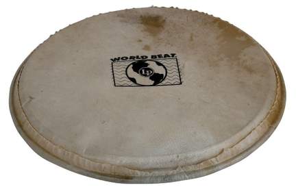 Latin Percussion Percussion head Plenera 10"