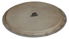 Latin Percussion Djembe head Aspire 12,5" goatskin