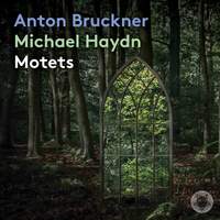 Motets: Music by Anton Bruckner; Michael Haydn