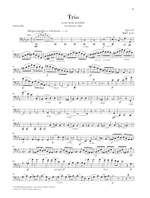 Mendelssohn Bartholdy, F: Klaviertrio Nr. 2 c-moll op. 66 Product Image