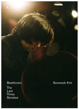 Beethoven: The Last Three Sonatas