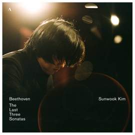 Beethoven: The Last Three Sonatas
