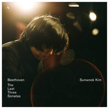 Beethoven: The Last Three Sonatas