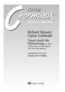 Strauss: Traum durch die Dämmerung