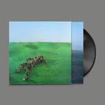 Bright Green Field Product Image