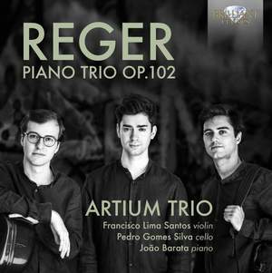 Reger: Piano Trio Op.102