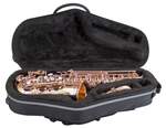 Champion Alto Sax Case Product Image
