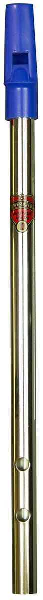 Flageolet D Folk Nickel 3 hole