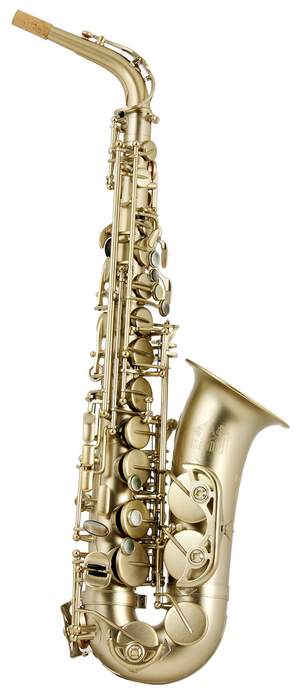 Trevor James 88 Alto Sax Outfit - Gold Frosted