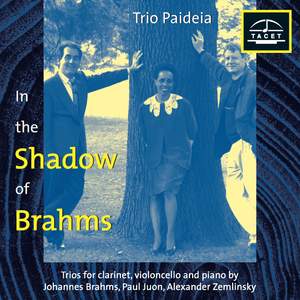 In the Shadow of Brahms