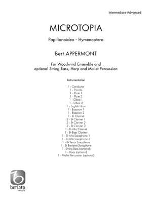 Bert Appermont: Microtopia