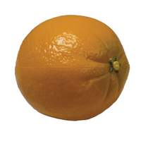 Percussion Plus fruit shaker - Orange