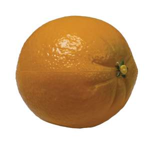 Percussion Plus fruit shaker - Orange