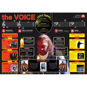 The human voice - A1 educational poster