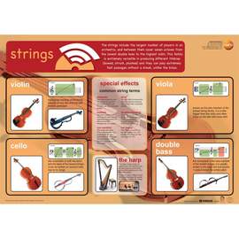Stringed instruments educational poster
